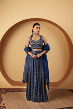 Skylark Lehenga Set