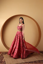 Pheonix Lehenga Set