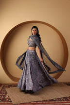 Lark Lehenga Set
