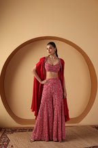 Dove Sharara & Cape Set