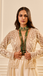 Champagne Glow Lehenga Set