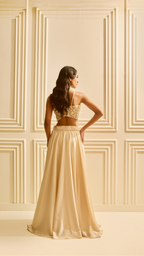 Champagne Glow Lehenga Set