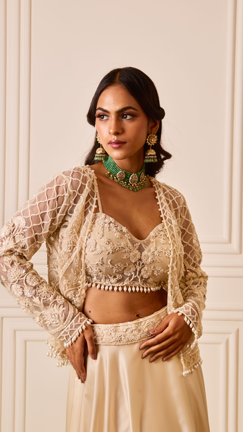 Champagne Glow Lehenga Set