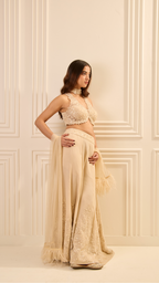 Celestial Veil Sharara Set
