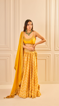 Amaltas Lehenga Set